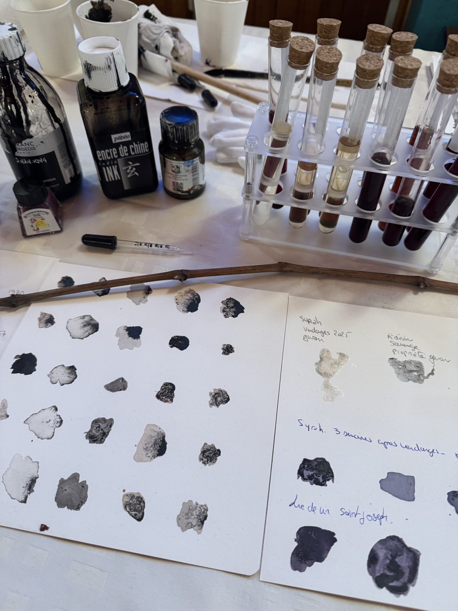 Aquarelles Encre de chine et peinture au vin