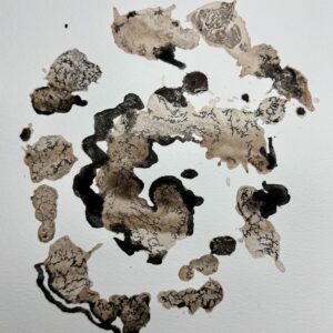 Aquarelle encre de chine et peinture au vin Fabienne Garon Atelier Art Ampuis